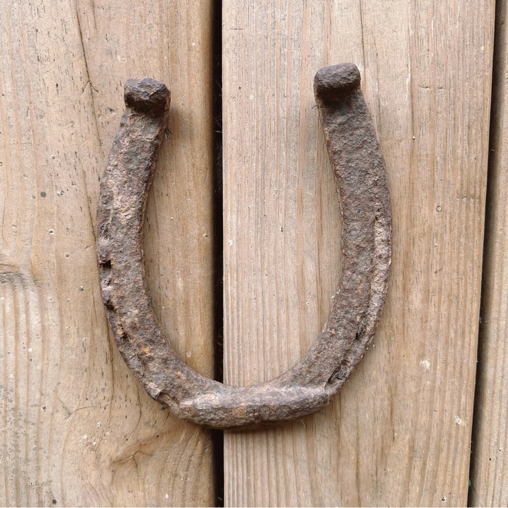 Rustic Iron Horseshoe Wall Accent